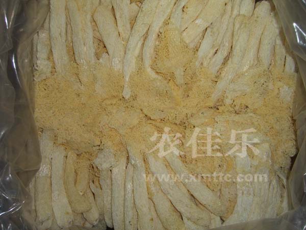 Caulis Bambusae in Taeniam